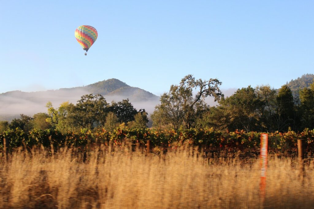 Hot air balloon on under blue sky during the daytime in Napa County